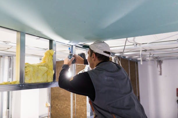 Best Home Insulation Services  in Plymouth, NC