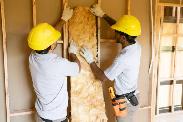 Best Wall Insulation Contractor  in Plymouth, NC