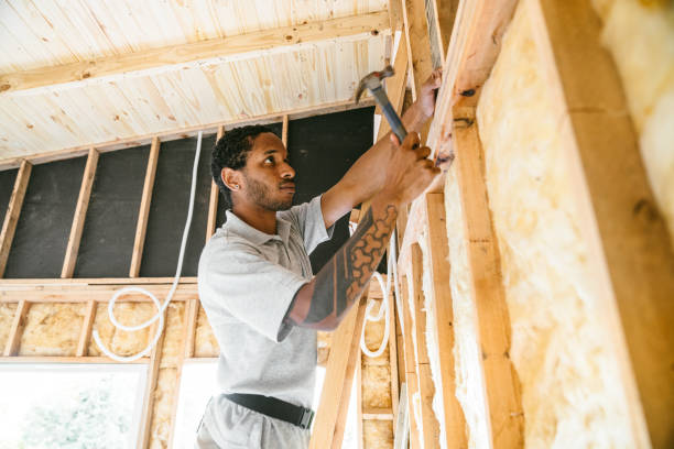 Best Insulation Removal  in Plymouth, NC