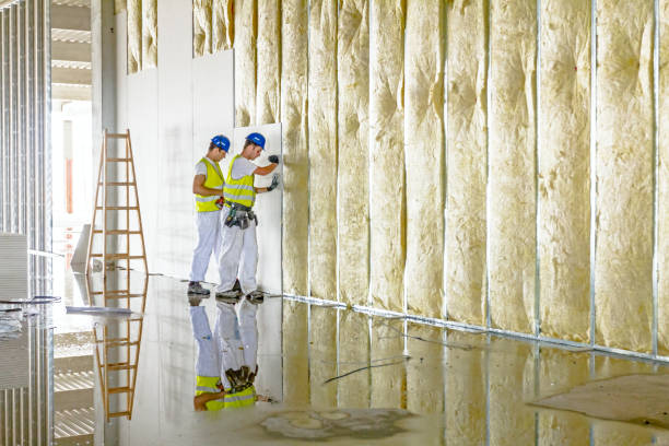 Best Energy-efficient Insulation  in Plymouth, NC